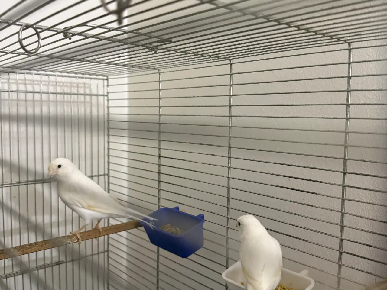 Billede 3 - Beskrivelse af varen