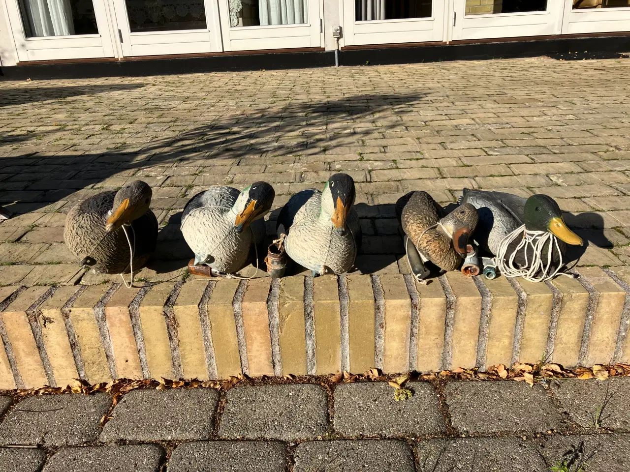 Billede 1 - Lokkeænder