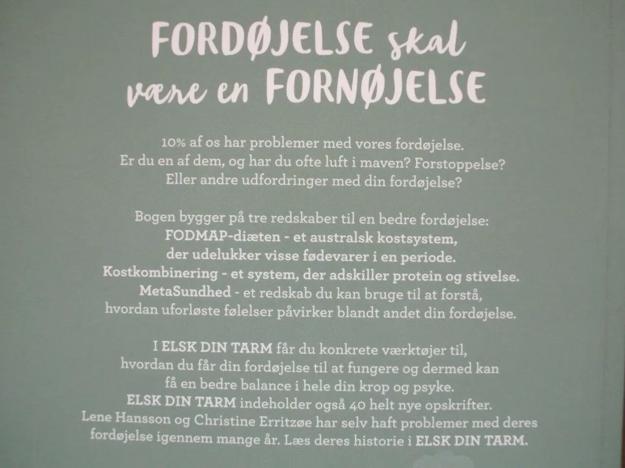 Billede 4 - elsk din tarm , af lene hansson og christine 