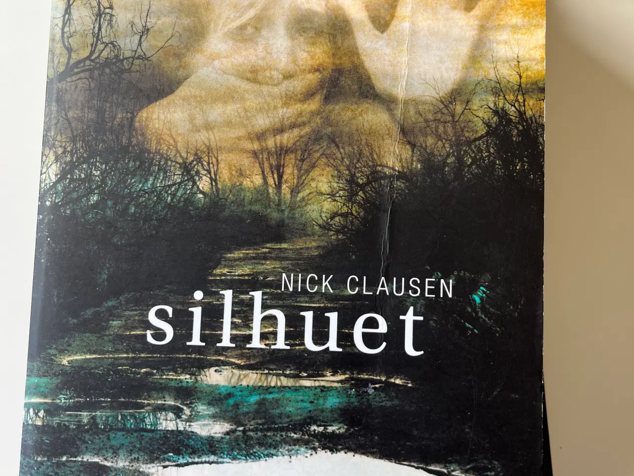 Billede 11 - Ungdoms bøger 