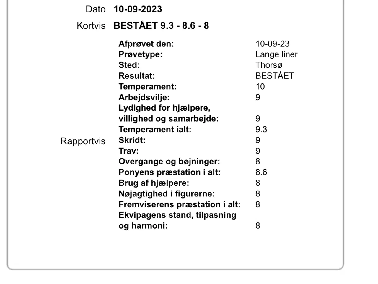 Billede 5 - Kåret hingst sælges