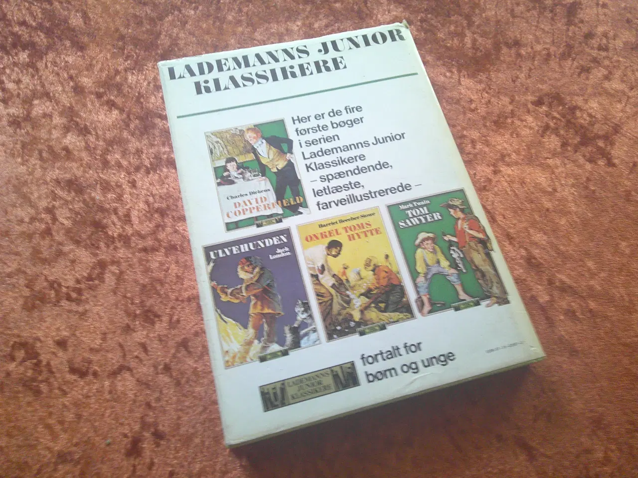 Billede 6 - To års ferie, Jules Verne,