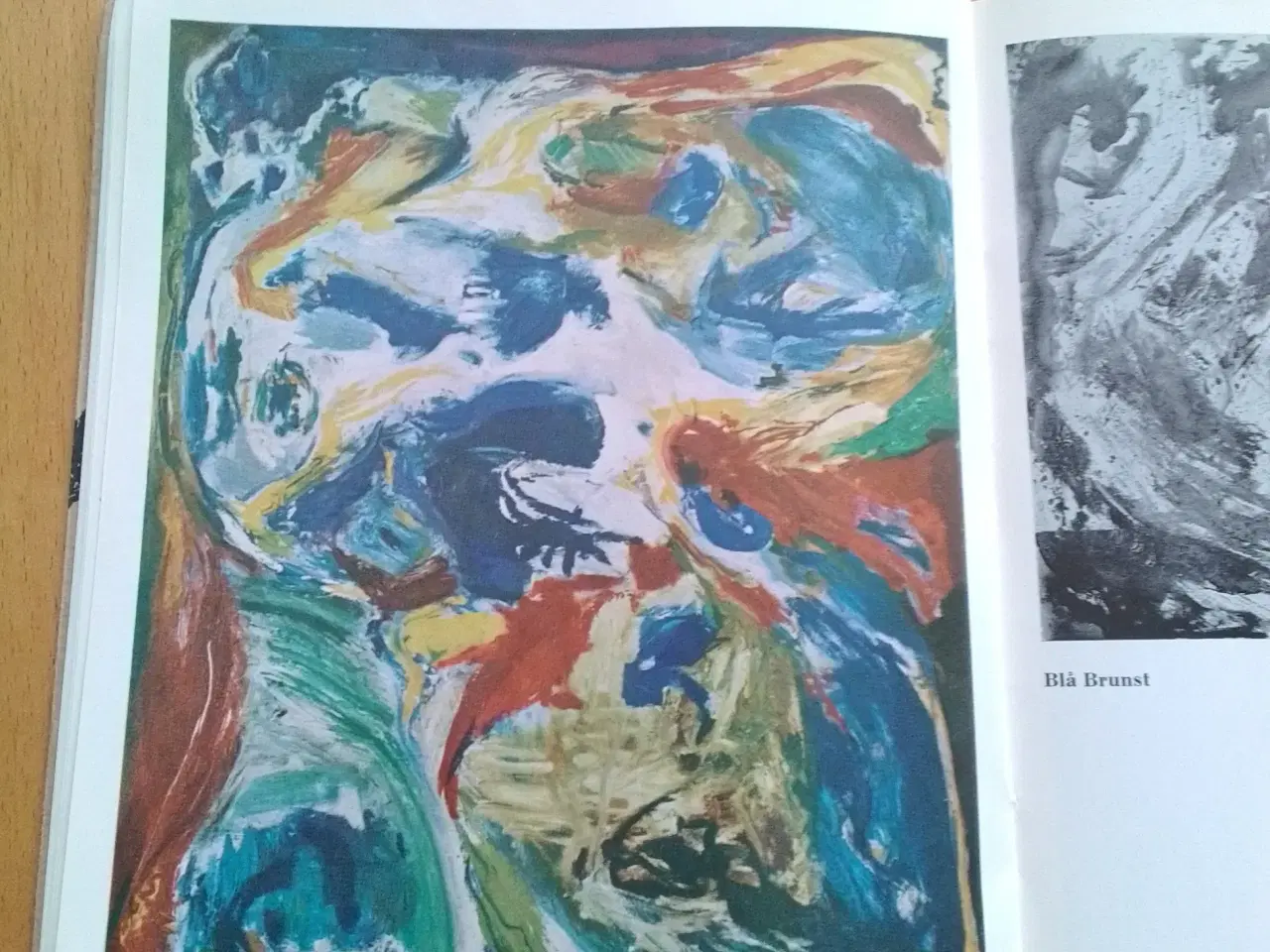 Billede 8 - Hæfte med Jorn billeder