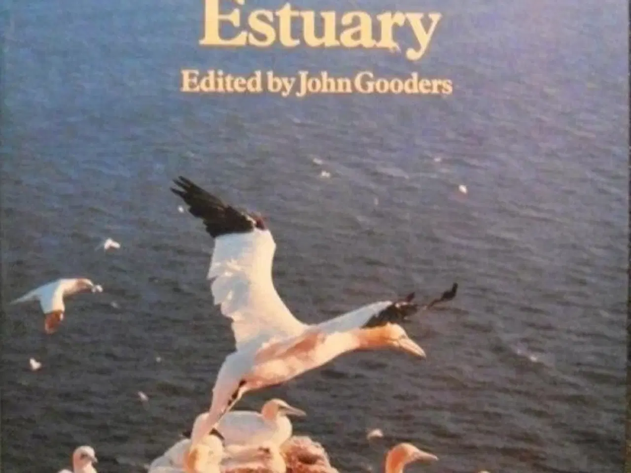 Billede 2 - Orbis Encyclopedia of Birds of Britain and Europe