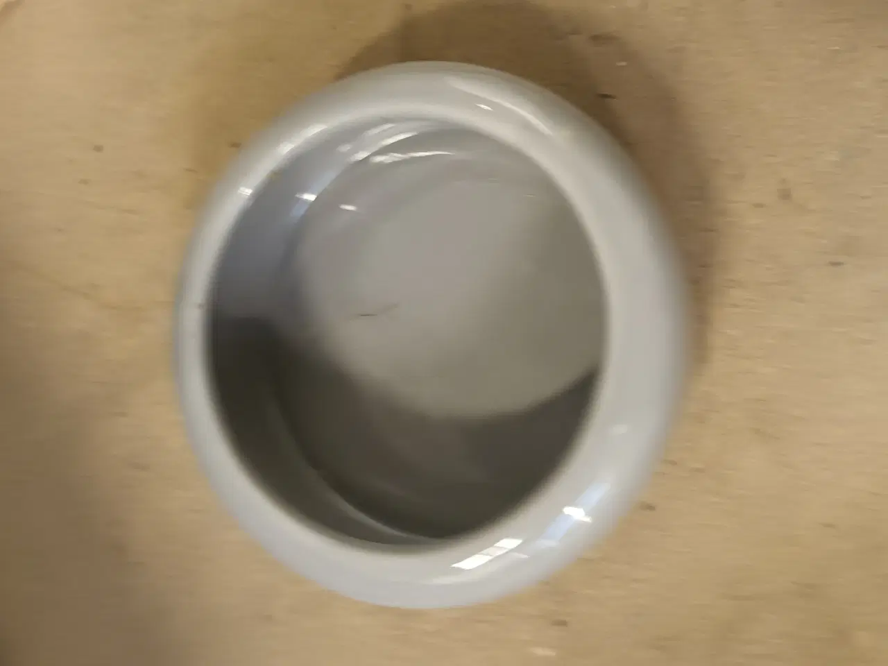 Billede 5 - Marsvinbur mm.