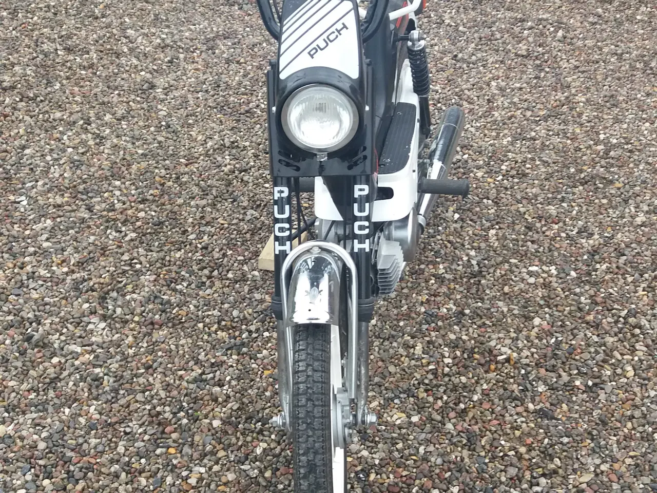 Billede 3 - Puch Maxi