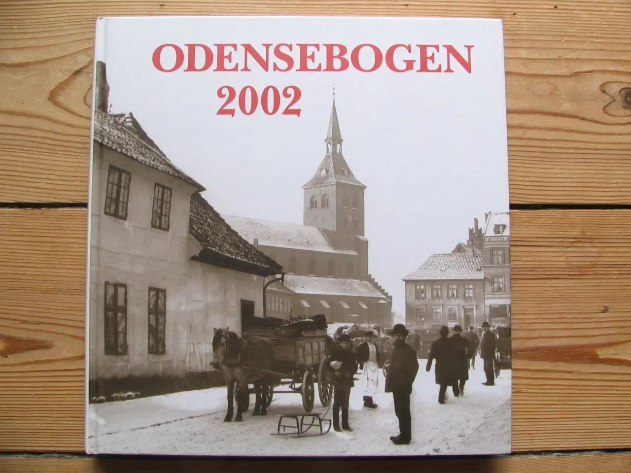 Billede 1 - Odensebogen 2002