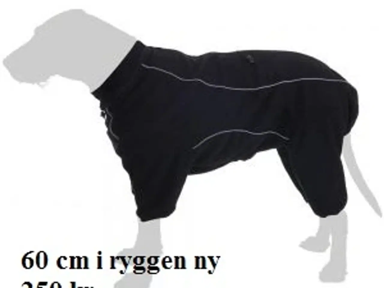 Billede 14 - udstyr til hund og katte 