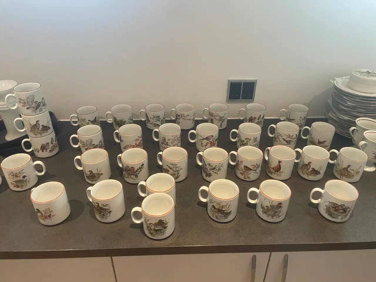 Billede 4 - Mads Stage jagt stel