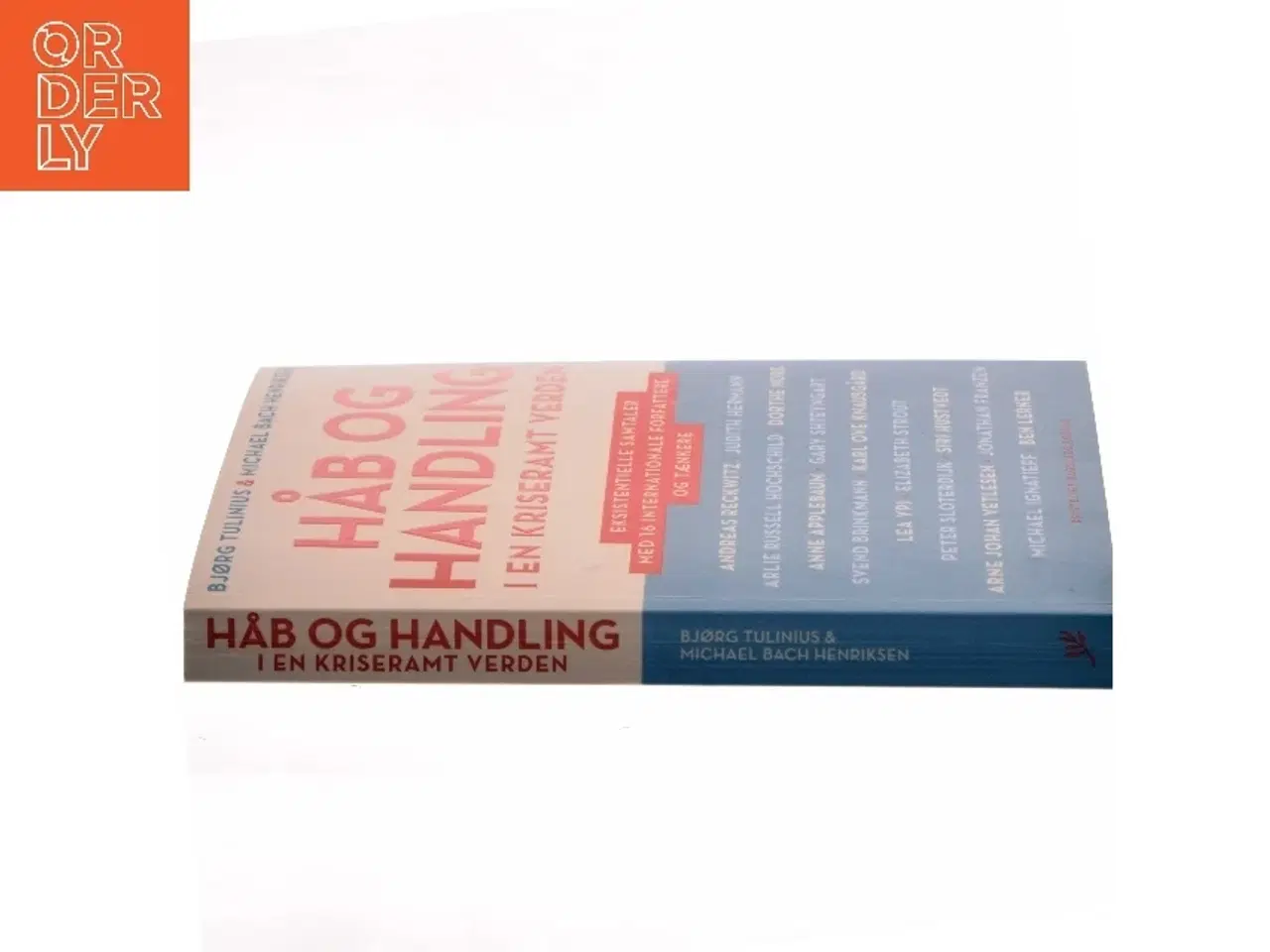 Billede 2 - Håb og handling i en kriseramt verden : eksistentielle samtaler med 16 internationale forfattere og tænkere af Bjørg Tulinius (Bog)