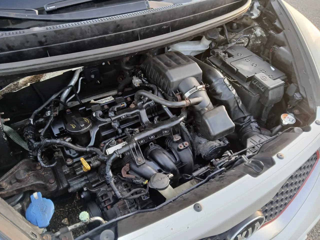 Billede 9 - Kia picanto 1,0