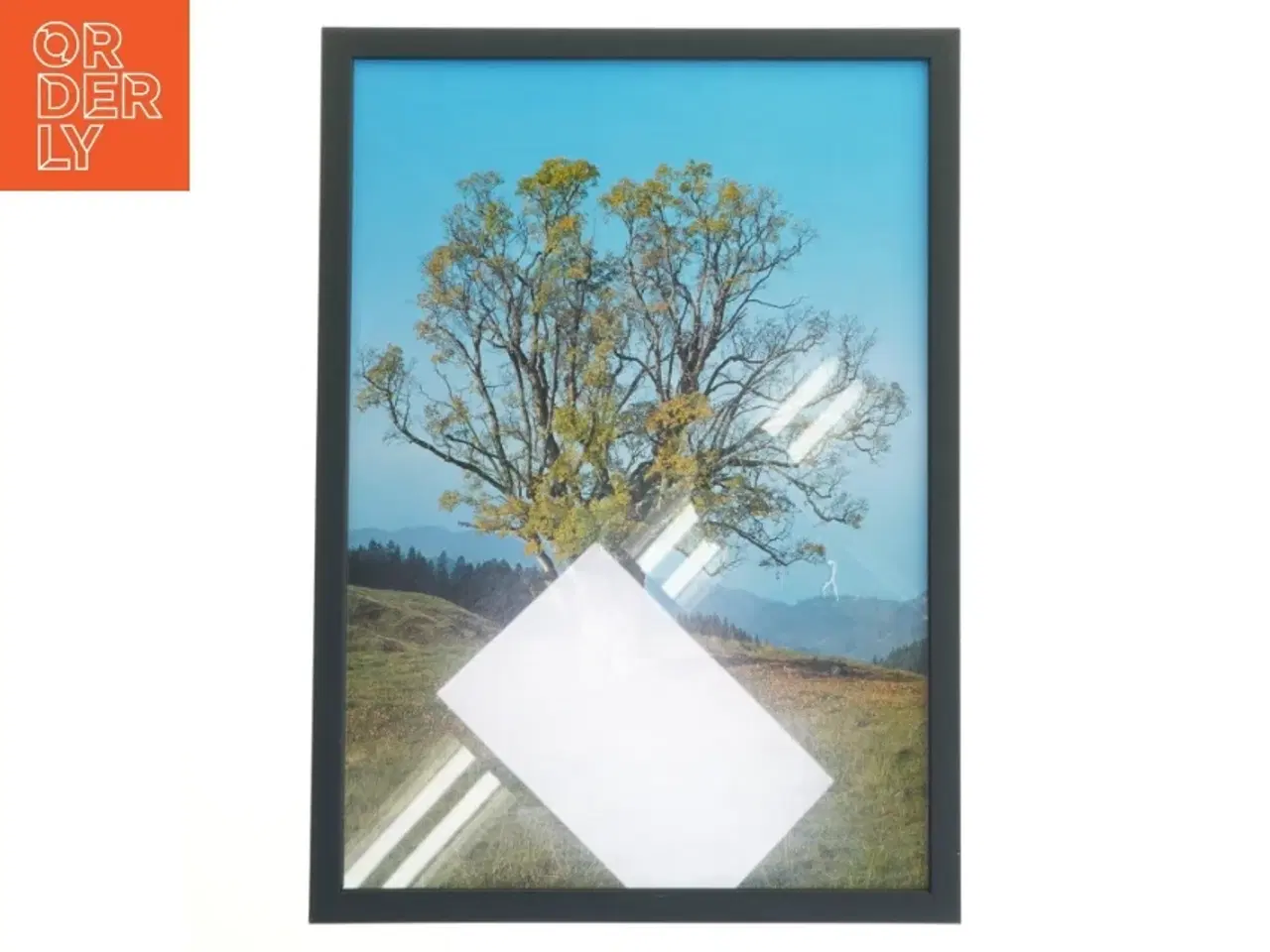 Billede 1 - Træbillede i ramme fra Posterland (str. 32x44 cm)