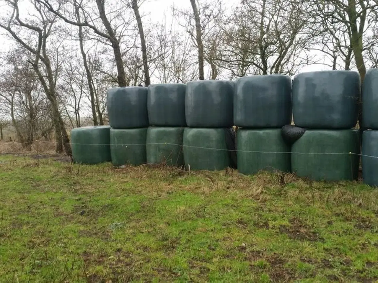 Billede 1 - Wrapballer, godkendt økologisk