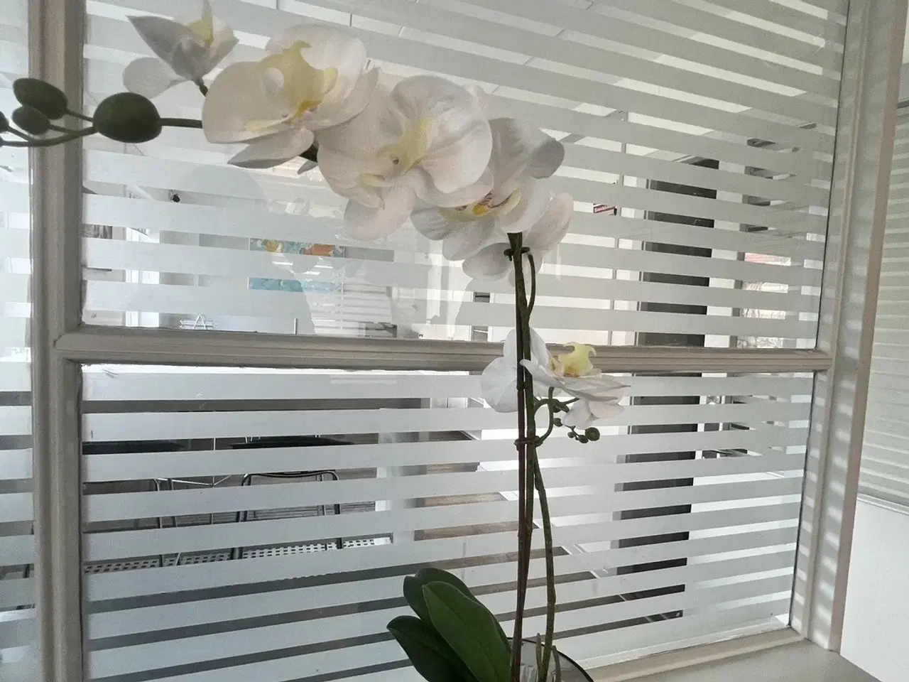 Billede 8 - Indflytningsklar - bør ses - ring til udlejer