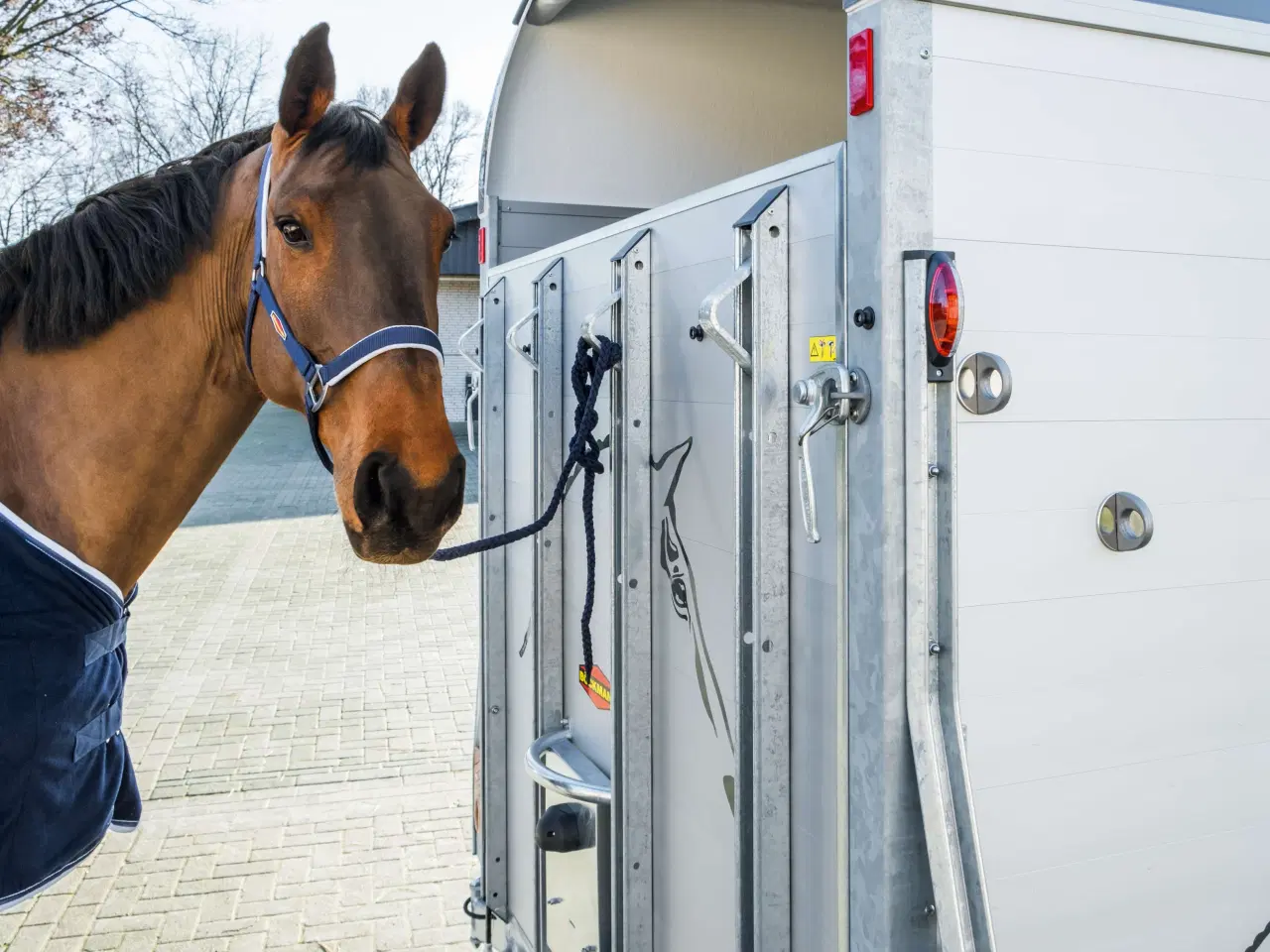 Billede 4 - Böckmann Champion Uno Esprit 25 med udstyrspakke