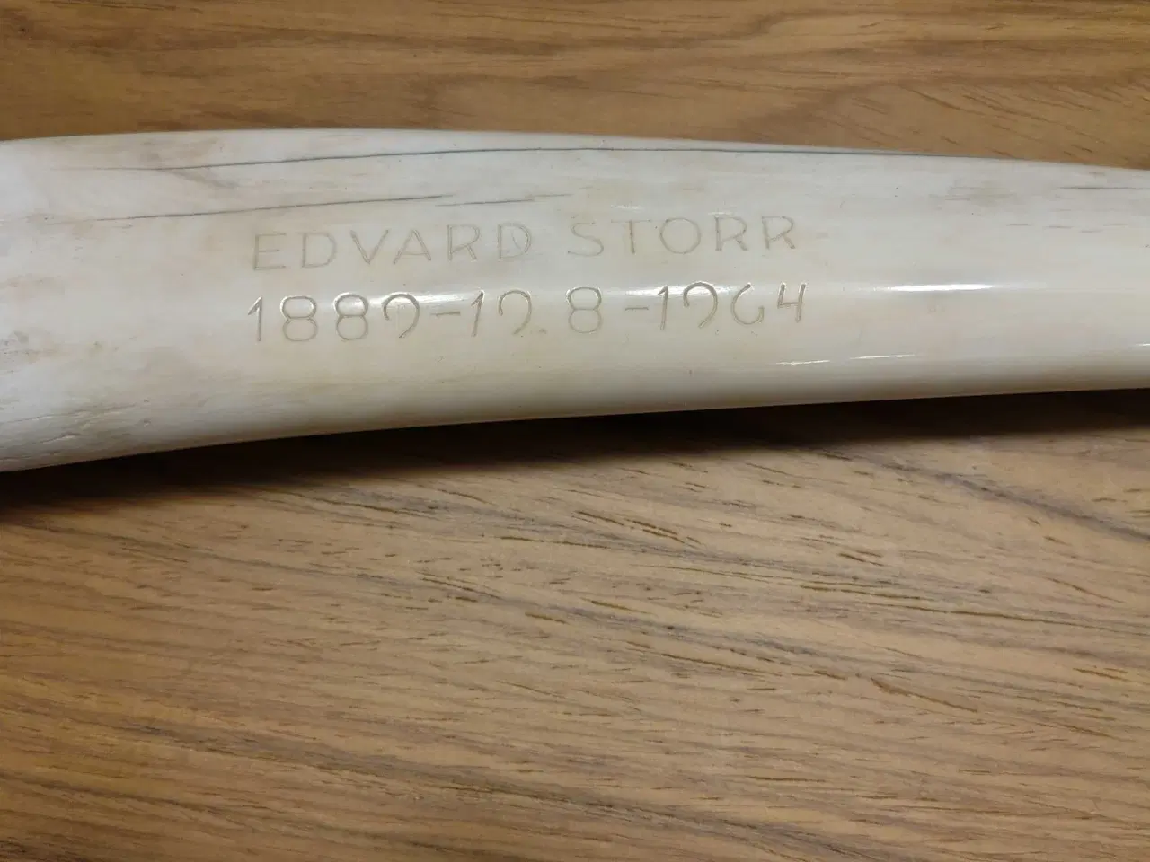 Billede 3 - Hvalros tand 