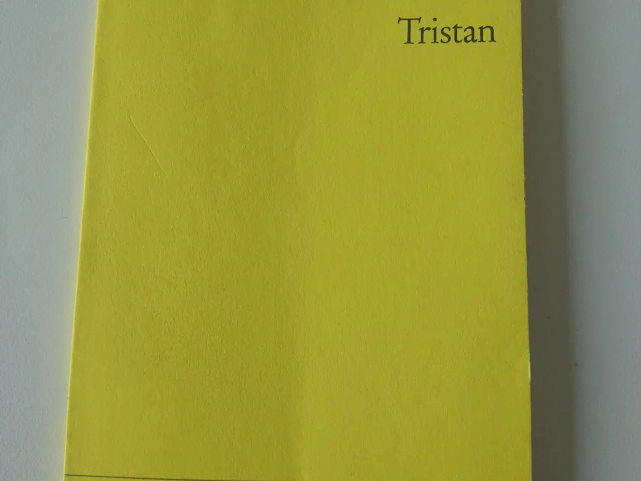 Billede 1 - Tristan. Thomas mann
