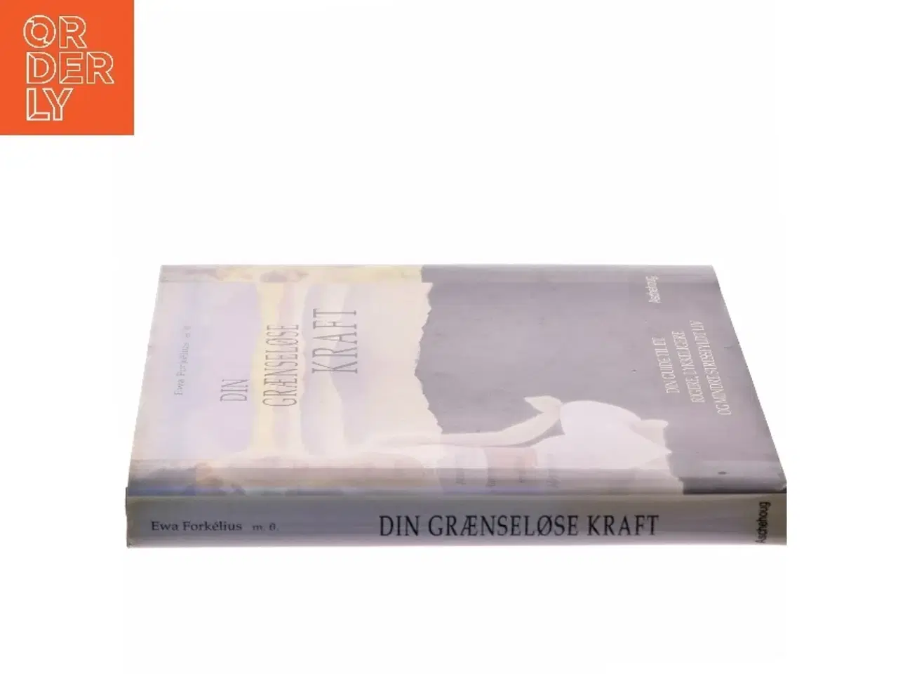 Billede 2 - Din grænseløse kraft af Ewa Forkélius (Bog)