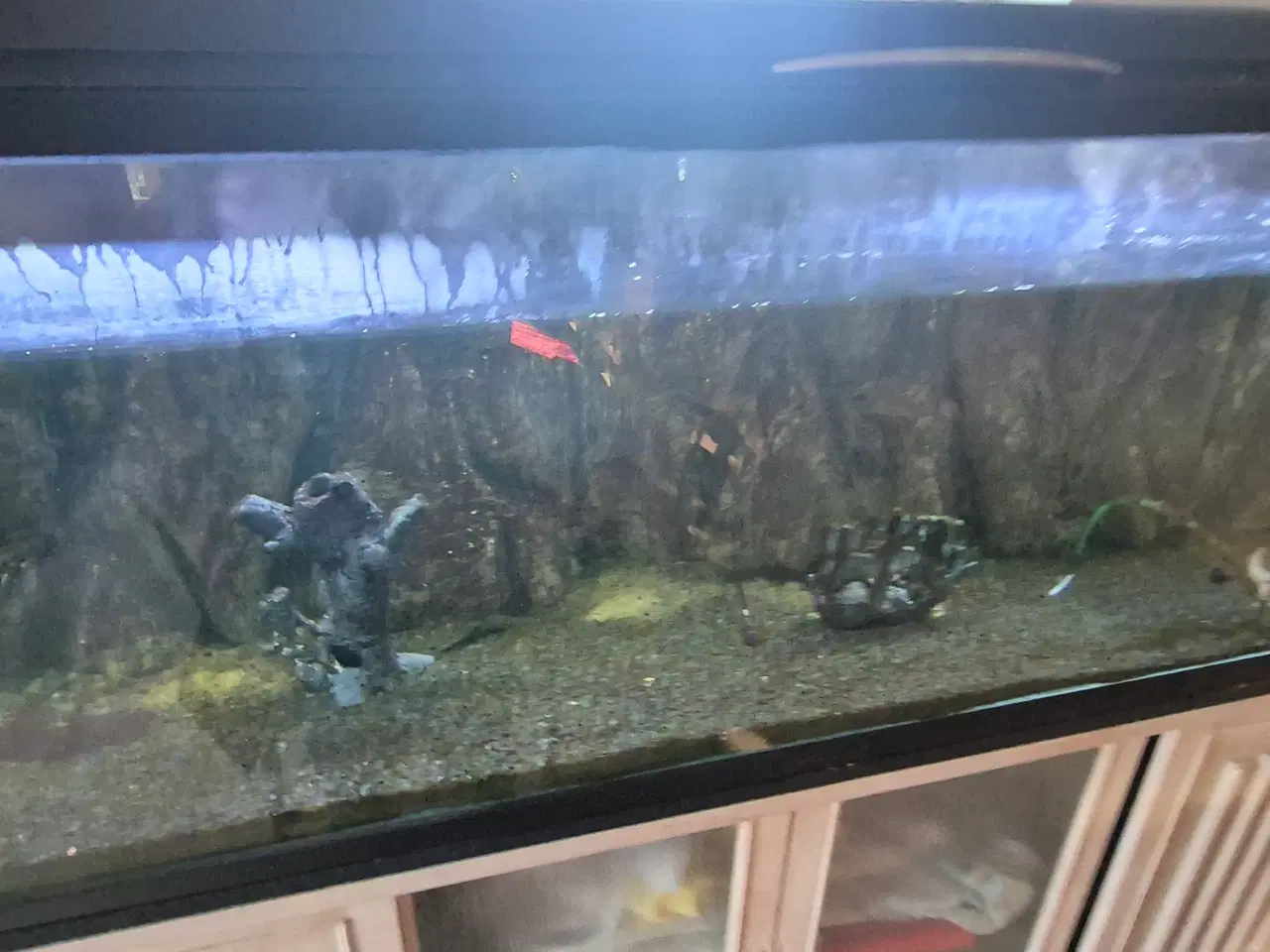Billede 4 - 660L akvarie med 3D baggrund