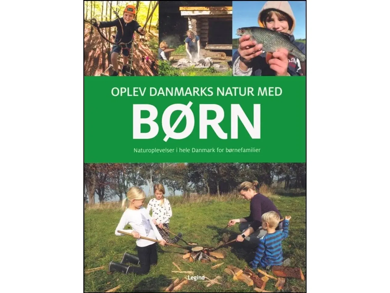 Billede 1 - Oplev Danmarks natur med børn