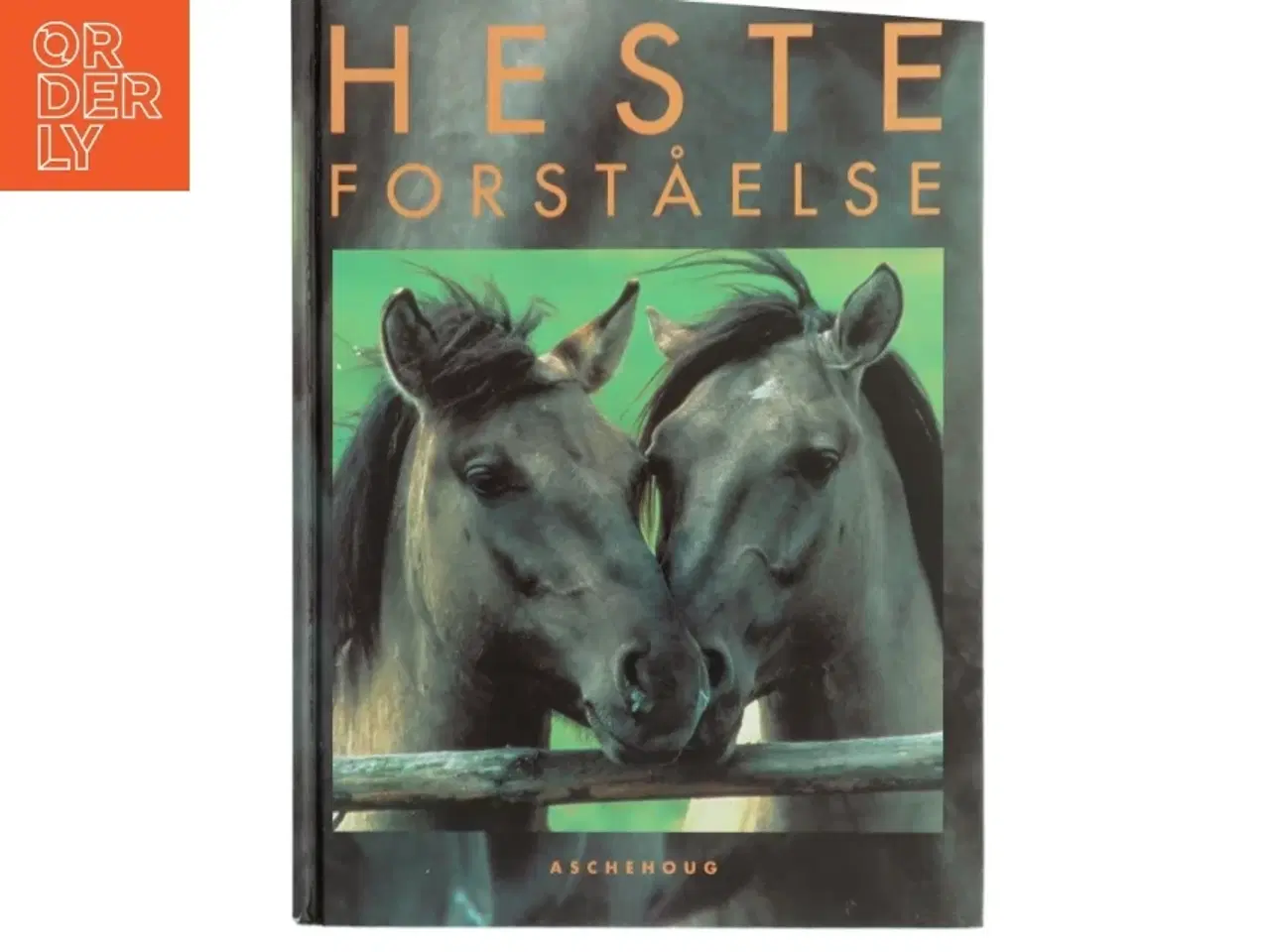 Billede 1 - Hesteforståelse (Bog)