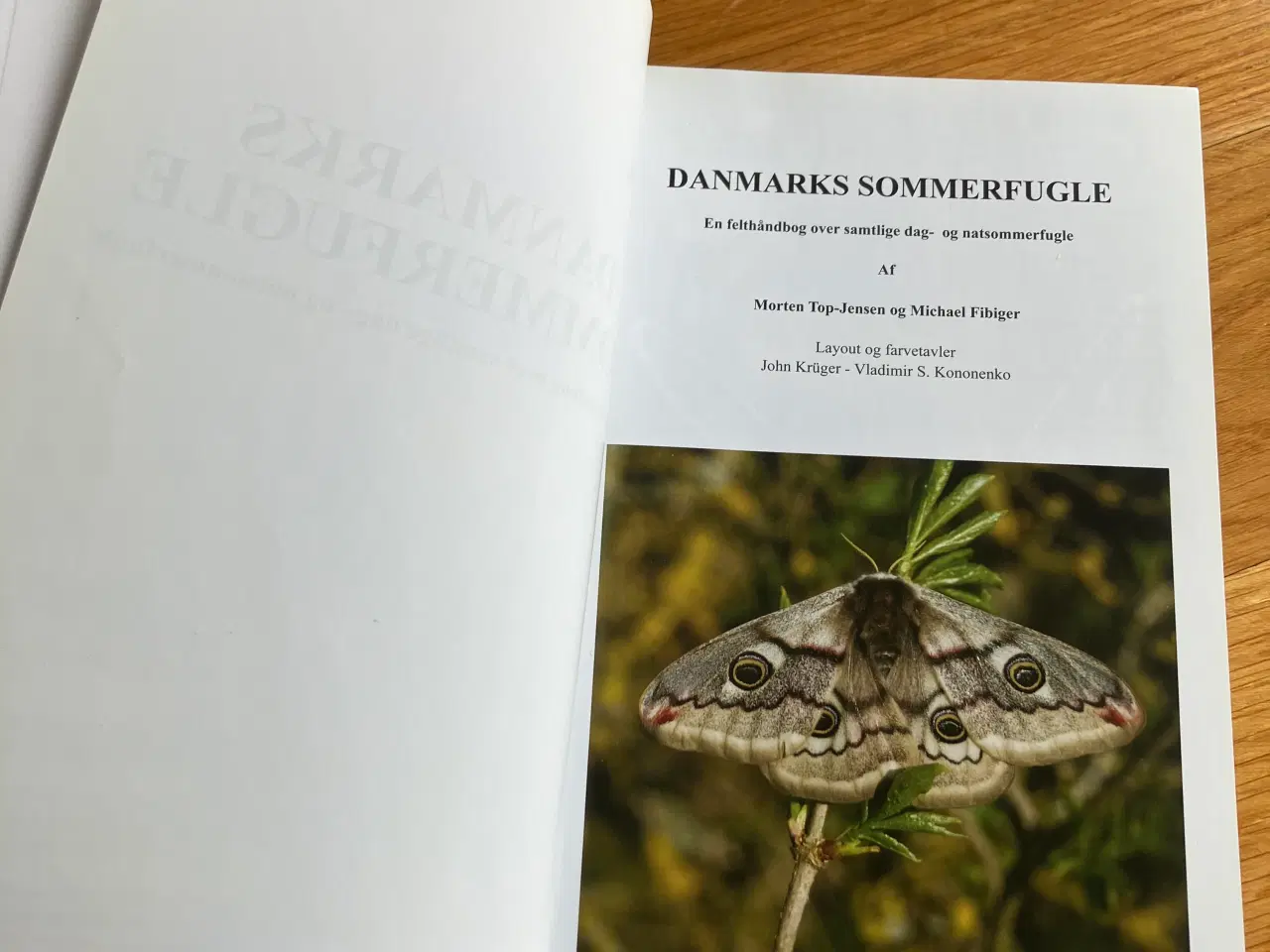 Billede 2 - Danmarks sommerfugle 