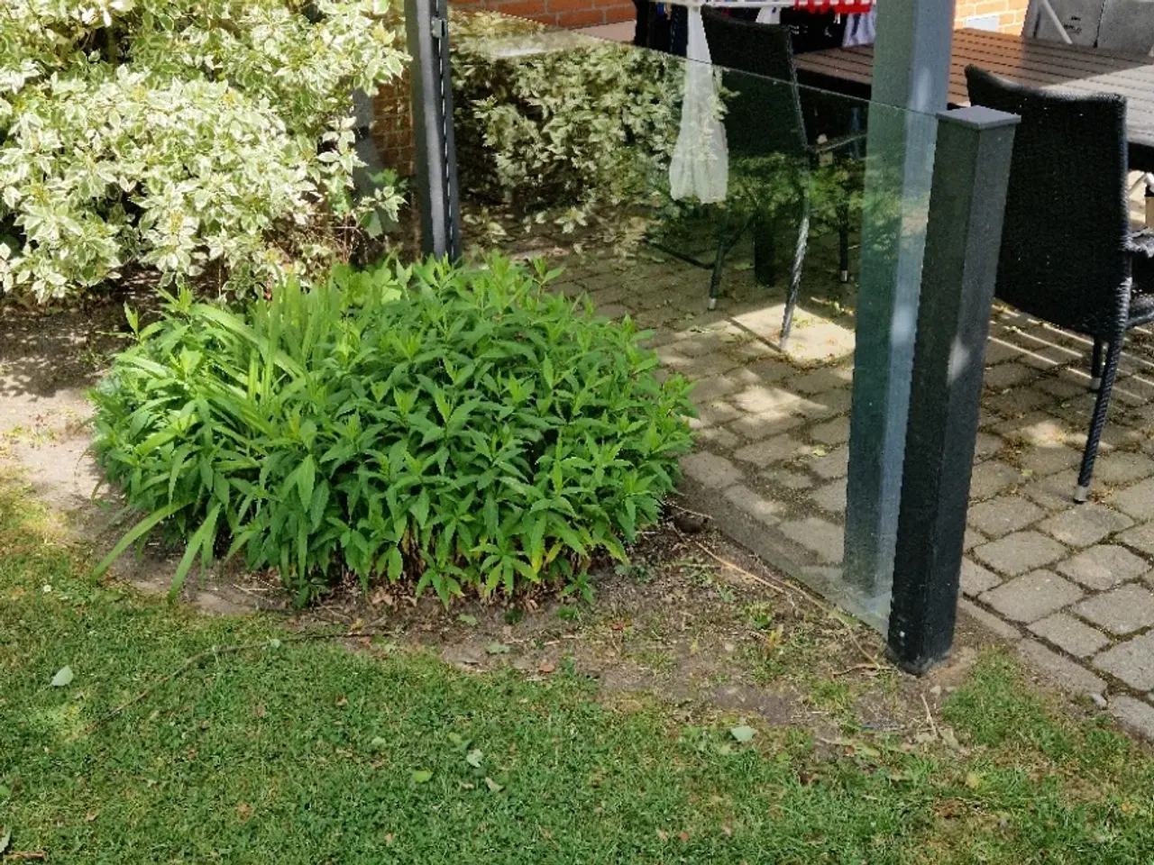 Billede 1 - Sikkerhedsglas til evt. terrasse afskærmning 