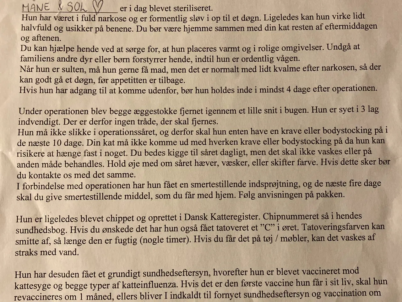 Billede 7 - Gratis (Maine Coon & Ragdoll) søger nyt hjem 