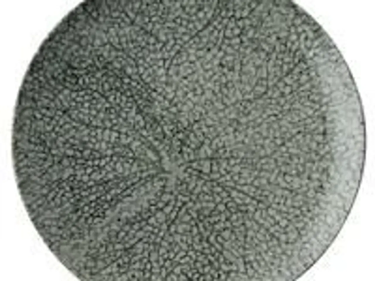 Billede 1 - 12 stk. Tallerken coupe flad grøn 275 mm Nature Essence