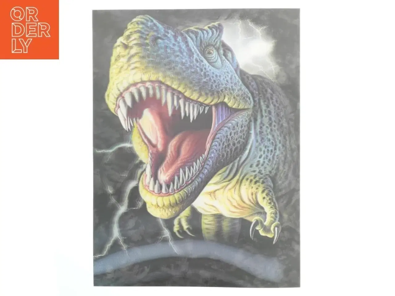 Billede 1 - Dinosaurbillede med lyn (str. 40x30 cm)