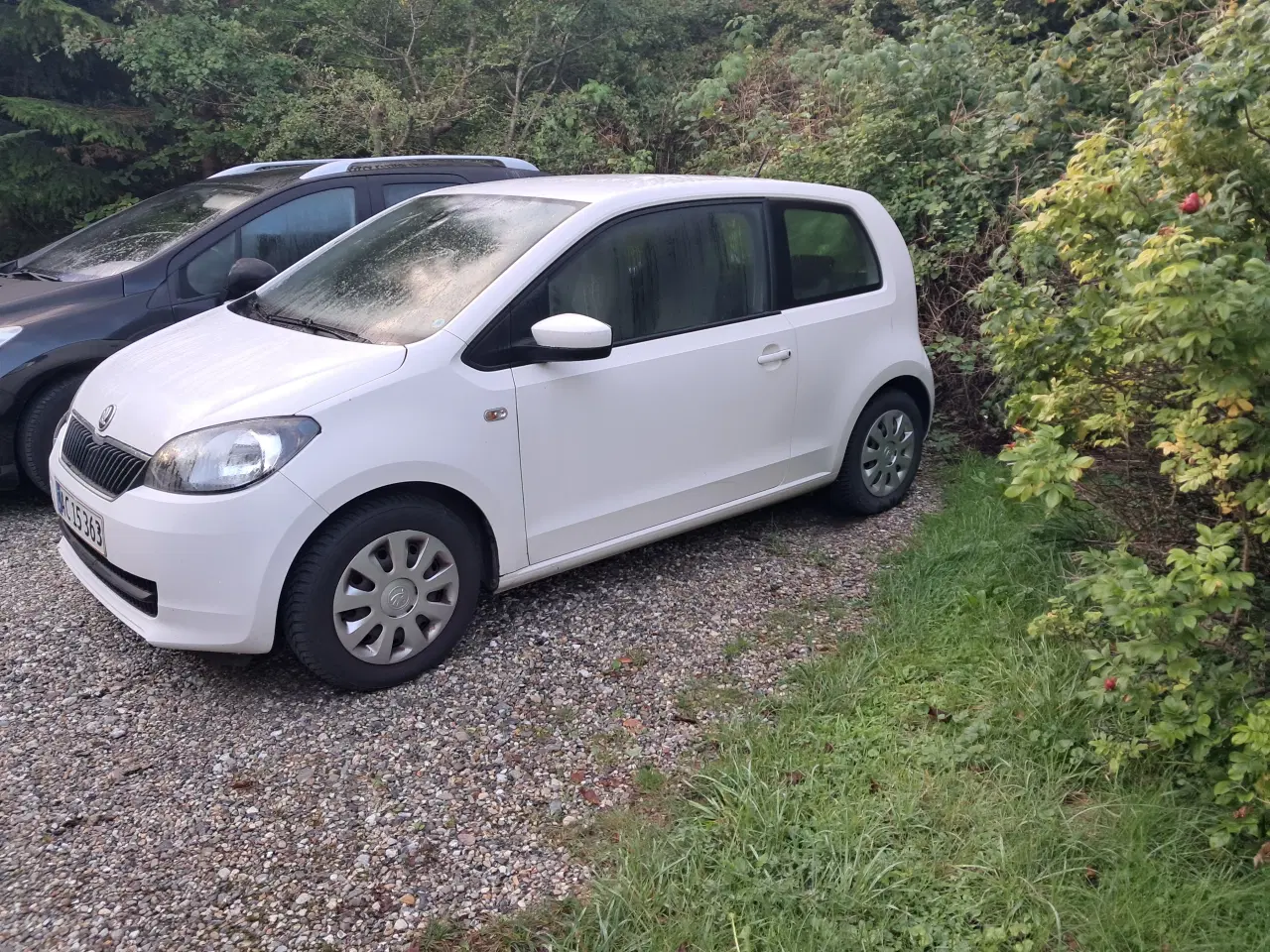 Billede 1 - Skoda citigo green line
