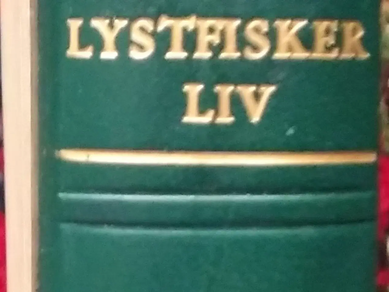 Billede 1 - Svend Saabye lystfisker liv