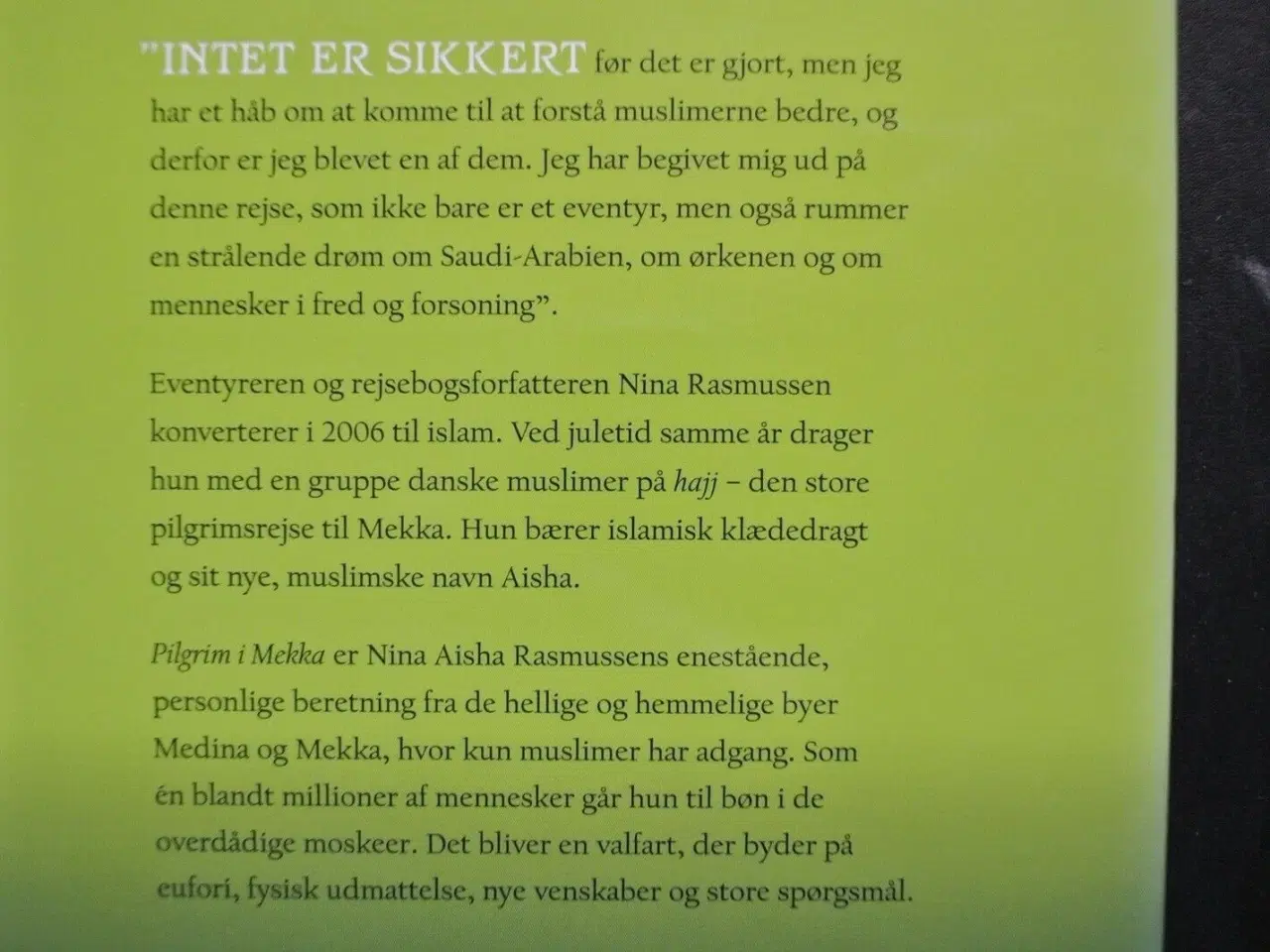 Billede 3 - pilgrim i mekka, af nina aisha rasmussen, emne: re