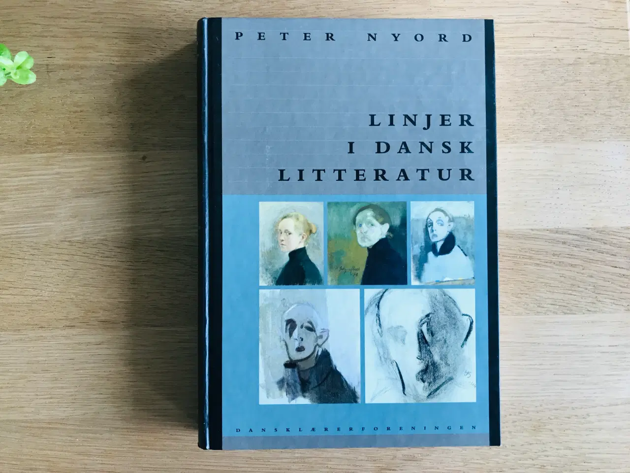 Billede 1 - Linjer i Dansk Litteratur af Peter Nyord