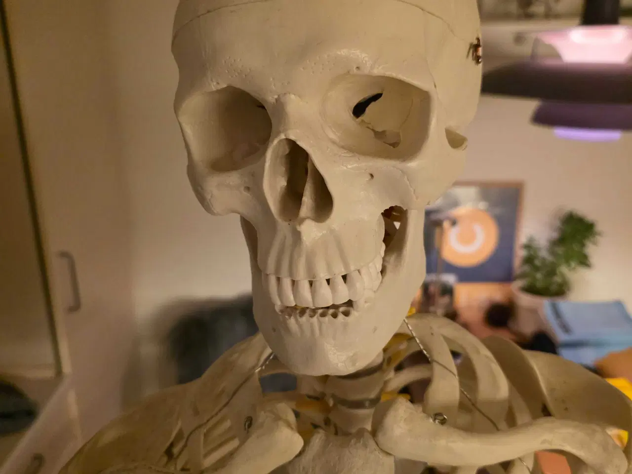 Billede 3 - Udstilling/undervisnings skellet 