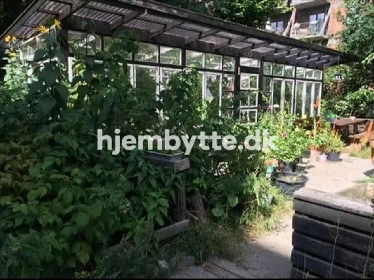 Billede 3 - Hjembytte - Todesgade