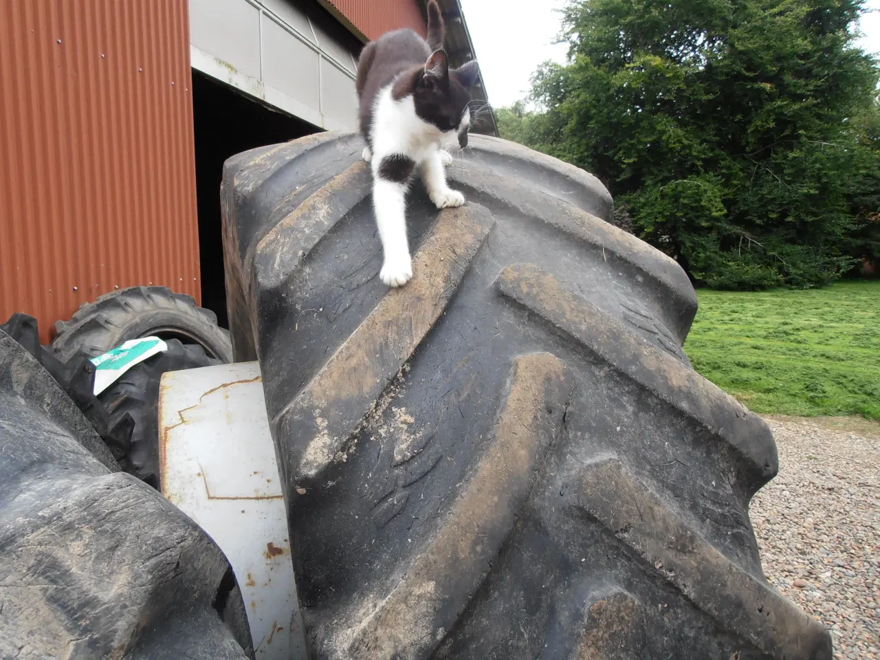 Billede 4 - 650/65R42" Tvillingehjule med ring .
