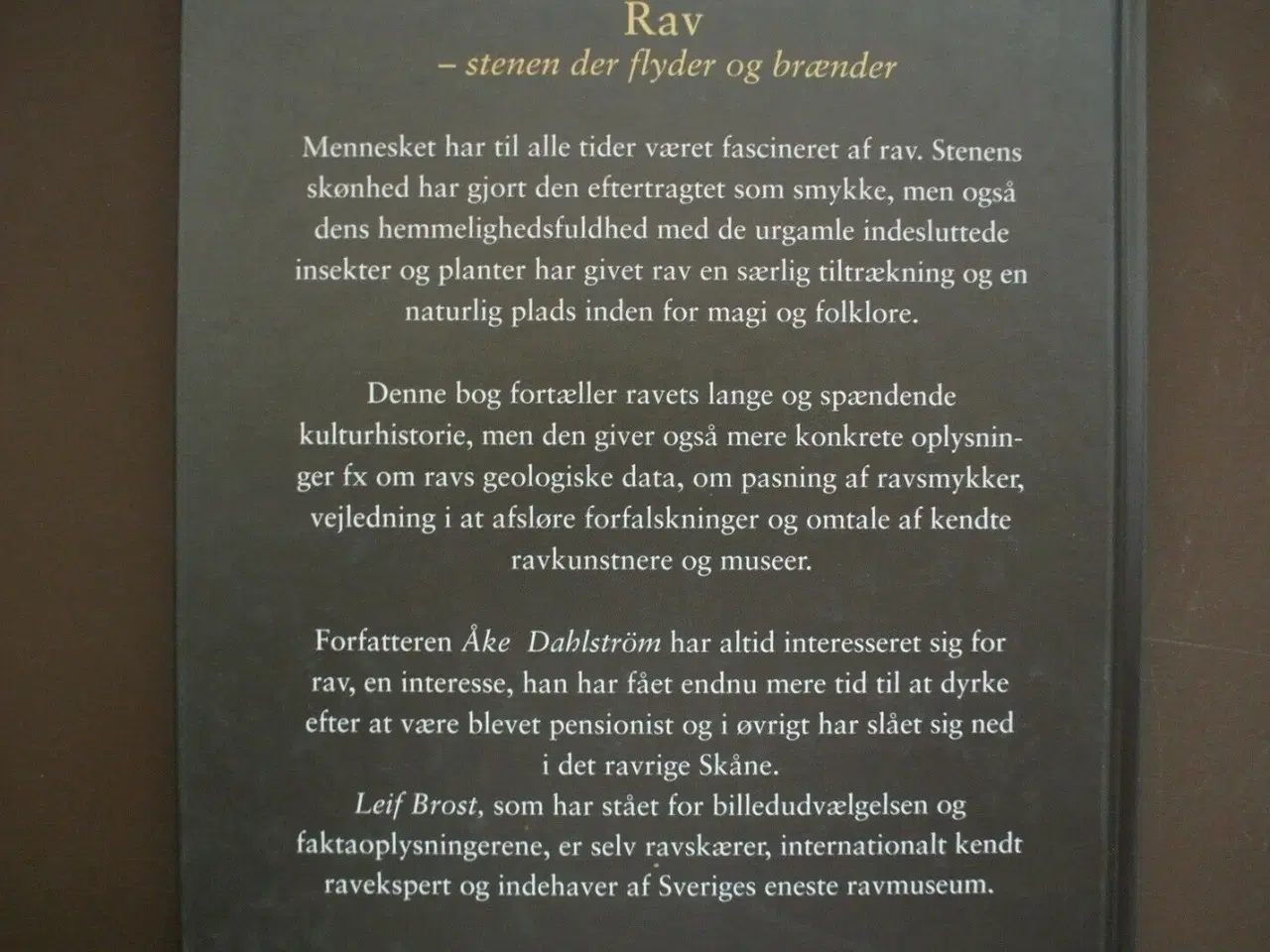 Billede 3 - rav - stenen der flyder og brænder, af åke dahlstr