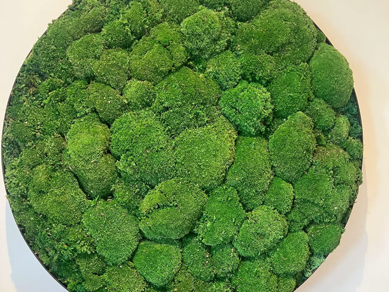 Billede 1 - Mos billede af pudemos