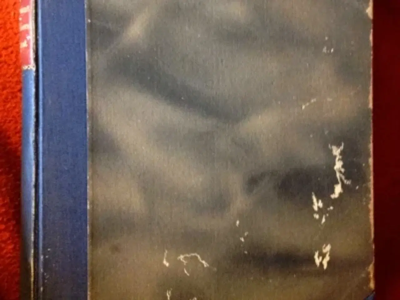 Billede 1 - Guy de Maupassant: Fru Telliers pensionat