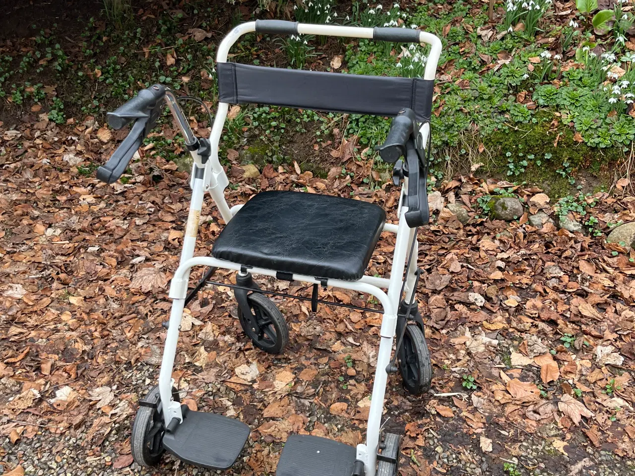 Billede 1 - Rollator/ kørestol