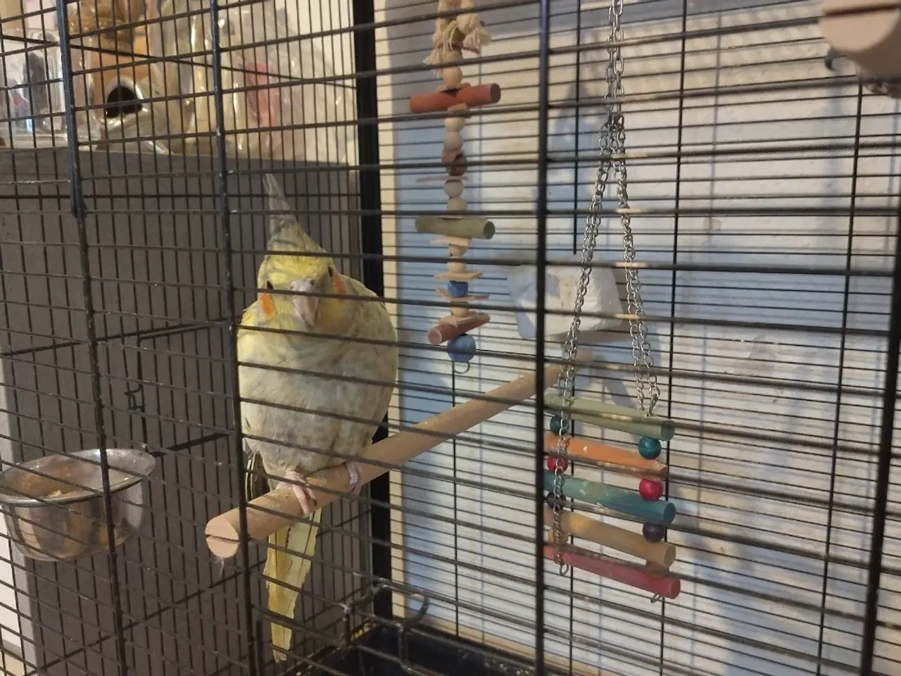 Billede 4 - Søde nymfer