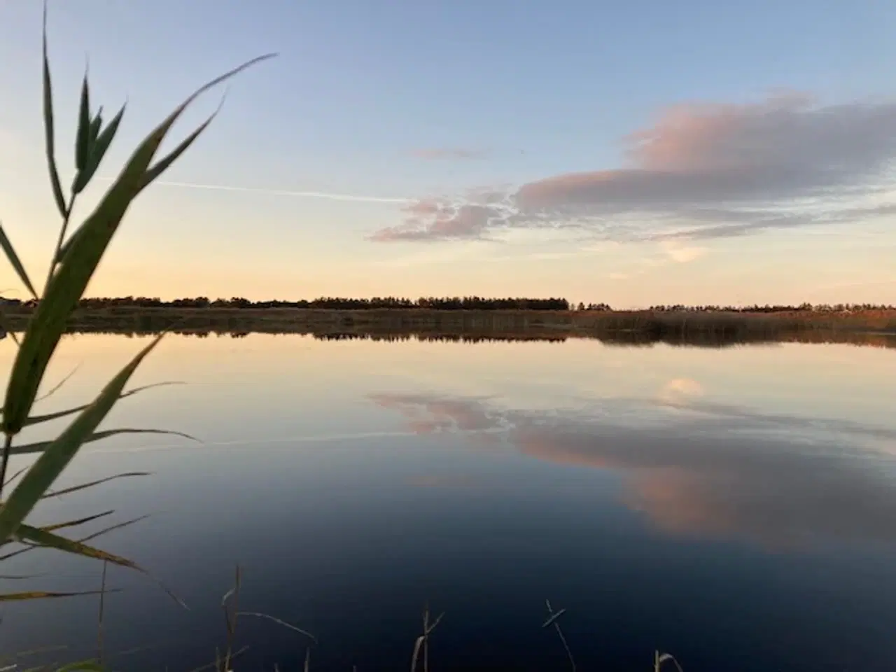 Billede 16 - Luksus Sommerhus med Vildmarksbad, Sauna Tønde