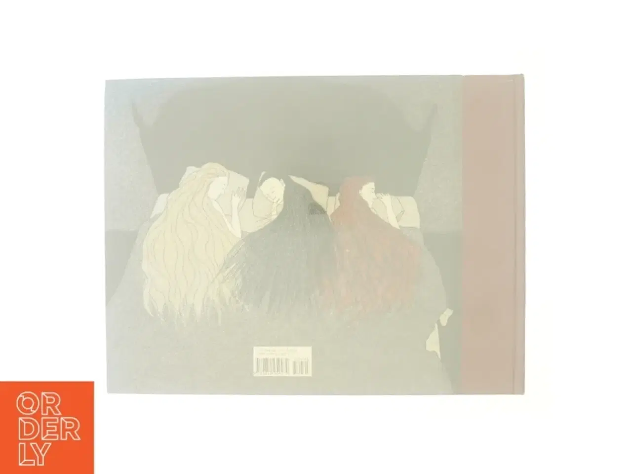 Billede 3 - The three incestuous sisters af Audrey Niffenegger (Bog)