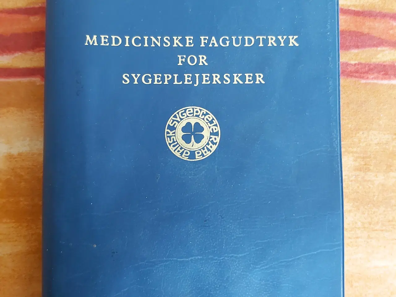 Billede 1 - Medicinske fagudtryk for sygeplejersker