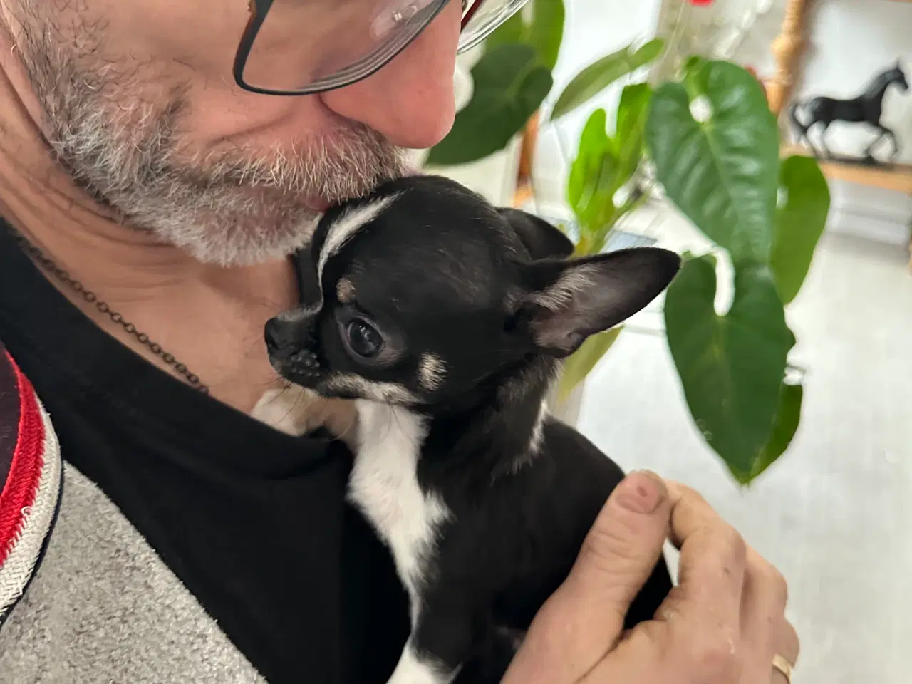 Billede 1 - Nuttet lille kærlig prins