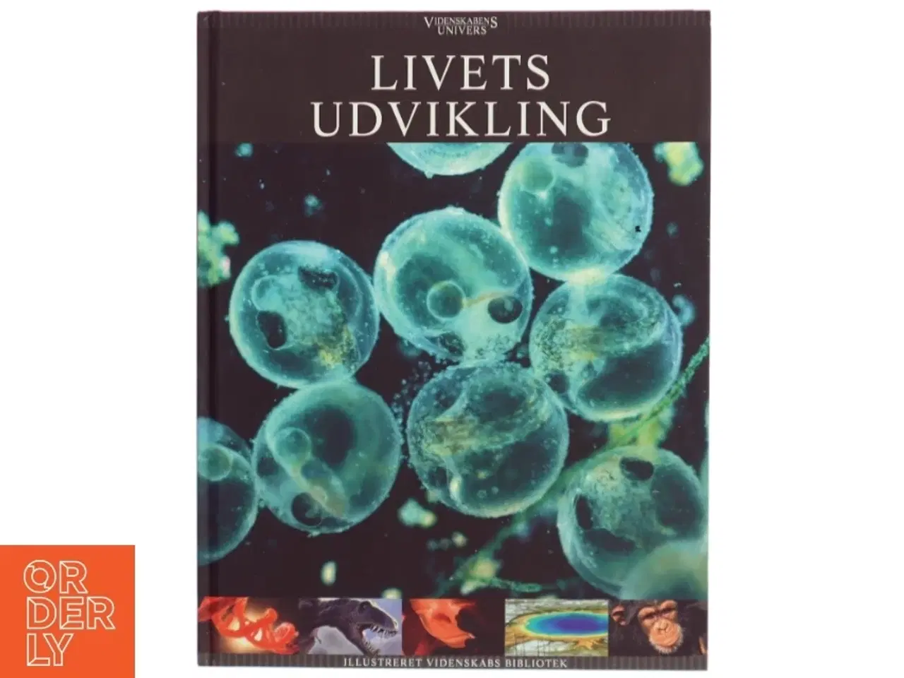Billede 1 - Livets udvikling (Bog)