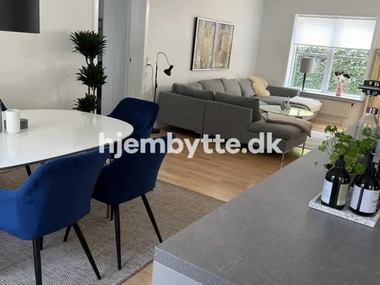 Billede 4 - Hjembytte - Strandbjerg