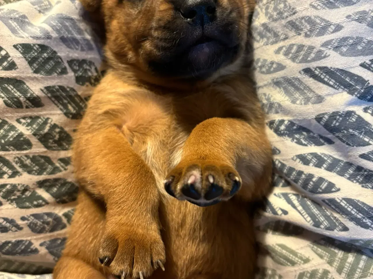 Billede 3 - FamilyGuardianMix - Love bombs 🩶💣