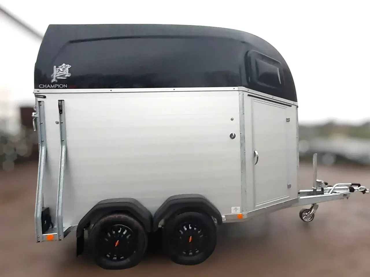 Billede 4 - Böckmann Champion Esprit (Udstilling)